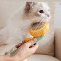 Chat brossé avec la brosse citrouille orange et sauge