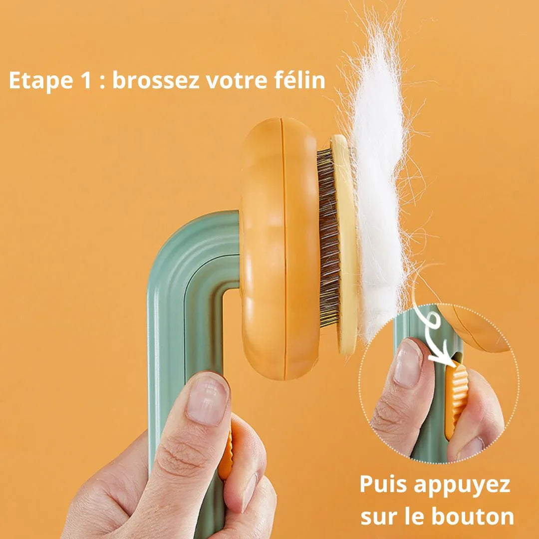 Détails des dents de la brosse citrouille