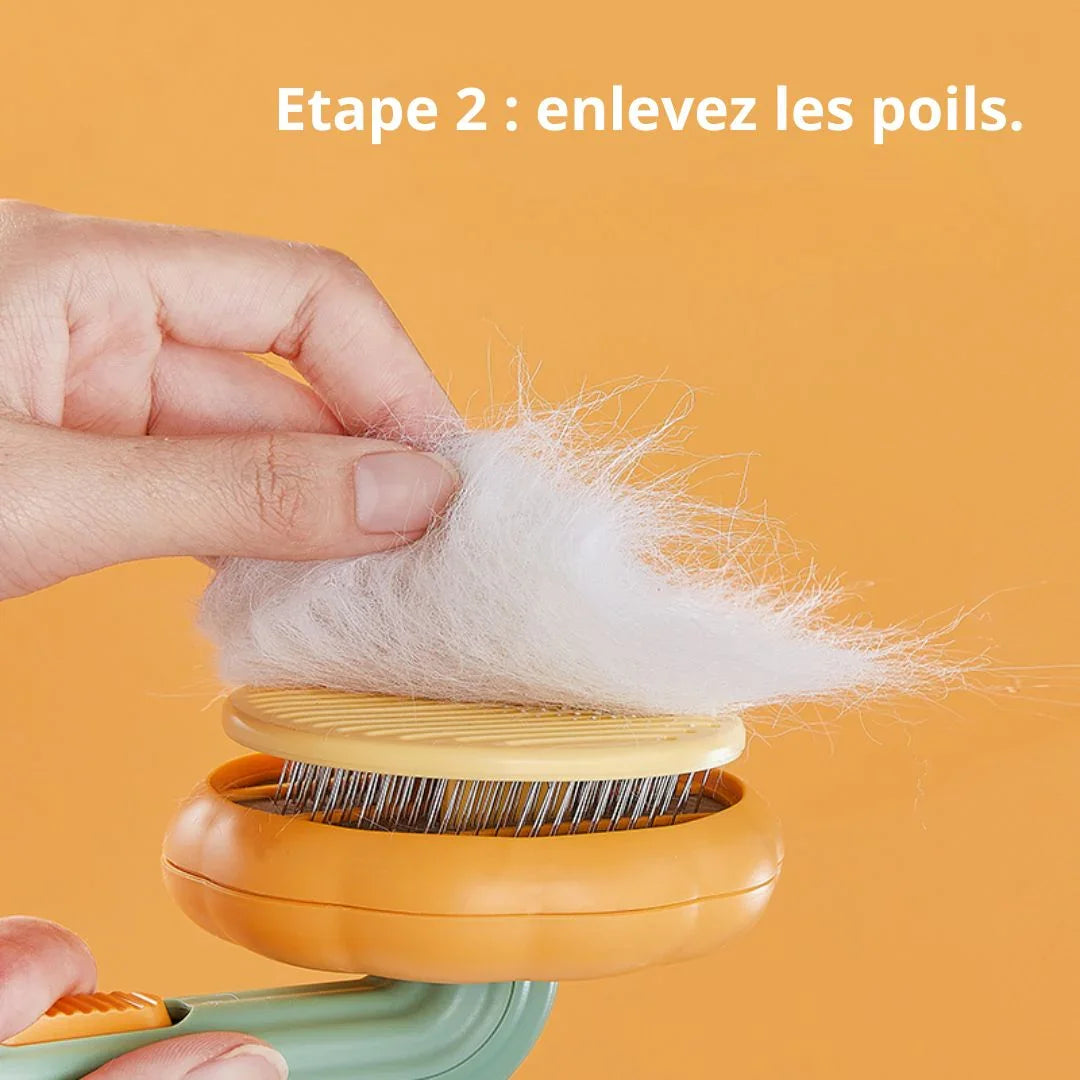Nettoyage de la brosse en un clic