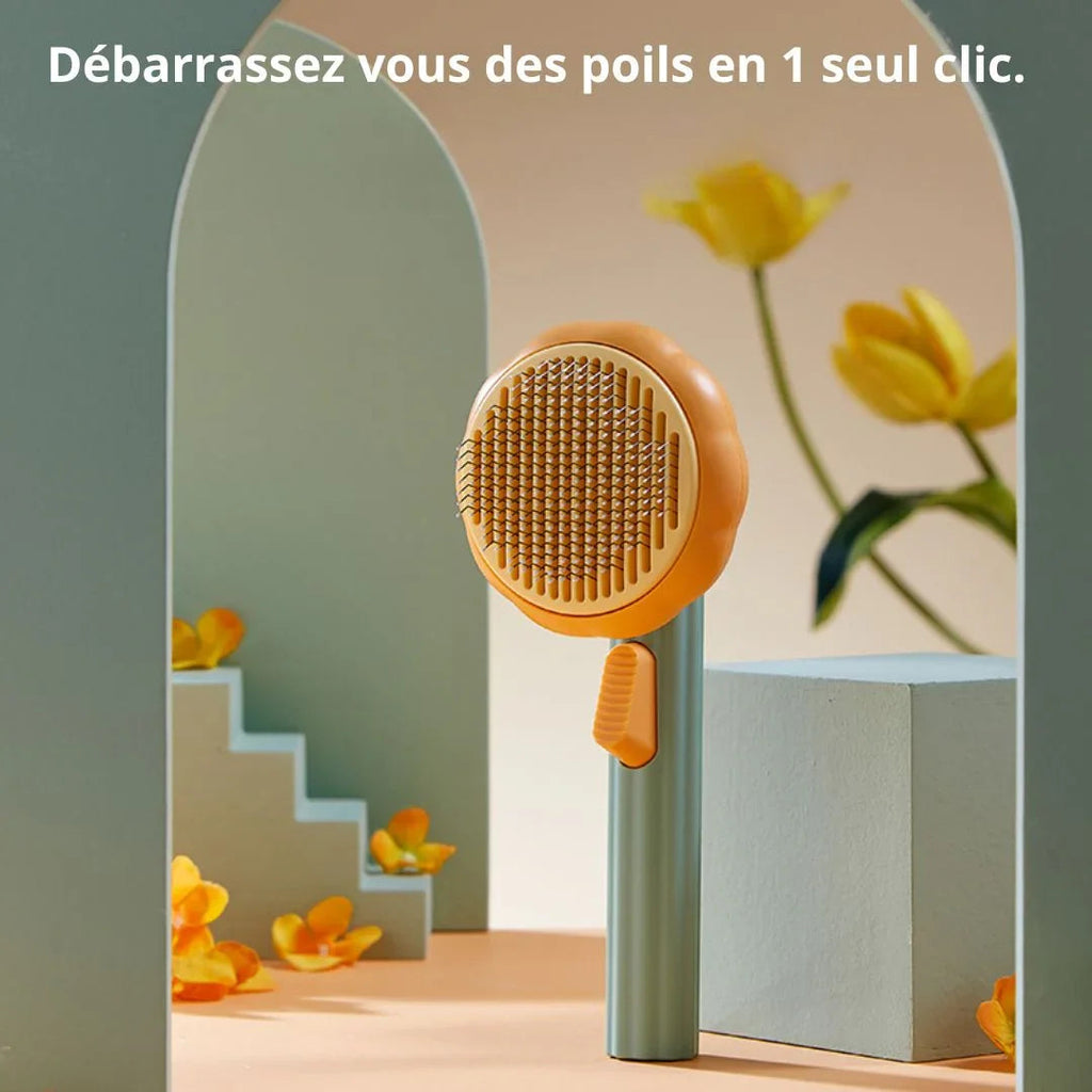 Brosse citrouille et dents incurvées